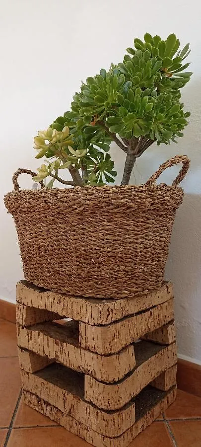 Casa La Romana Aracena Holiday home